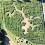 Cove Run Farms Corn Maze